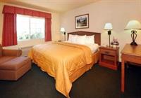 Фото Comfort Inn & Suites Tualatin - Lake Oswego South