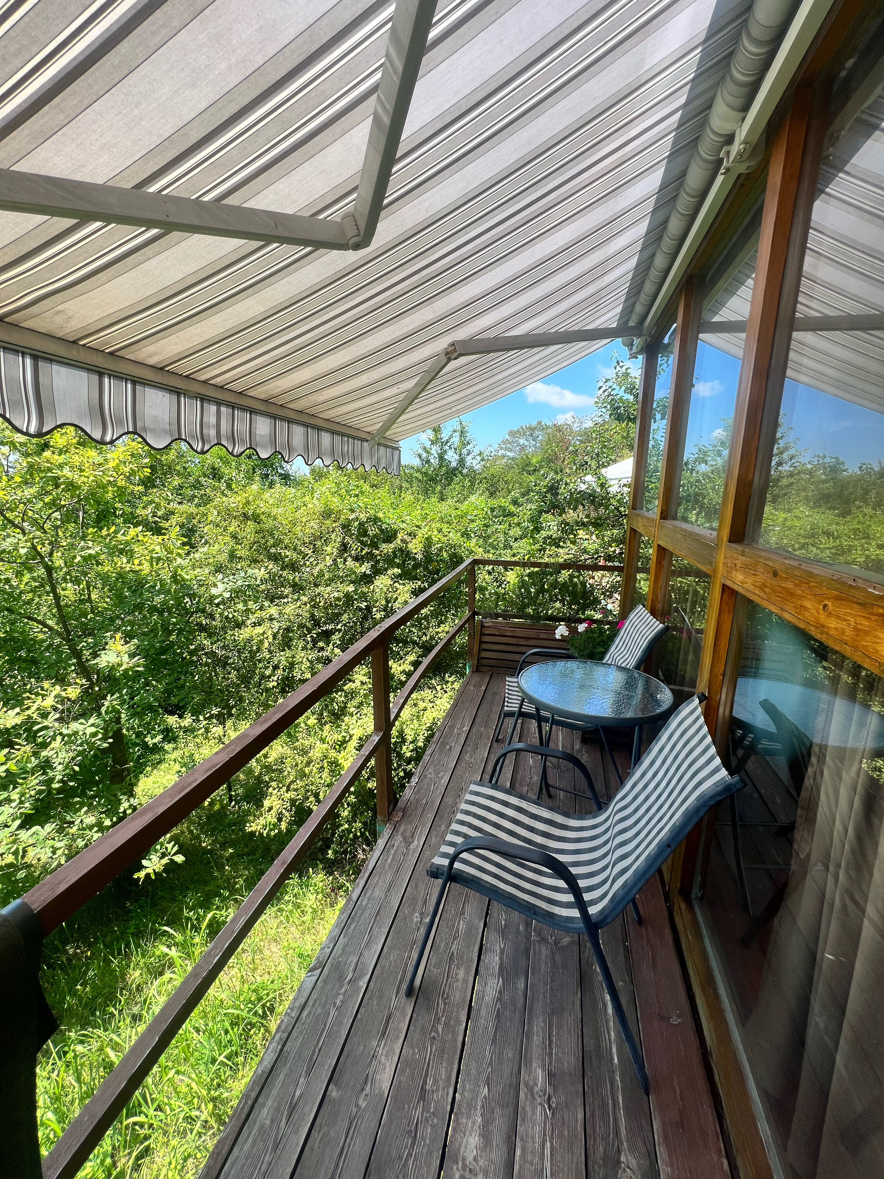 Фото Оранжереи