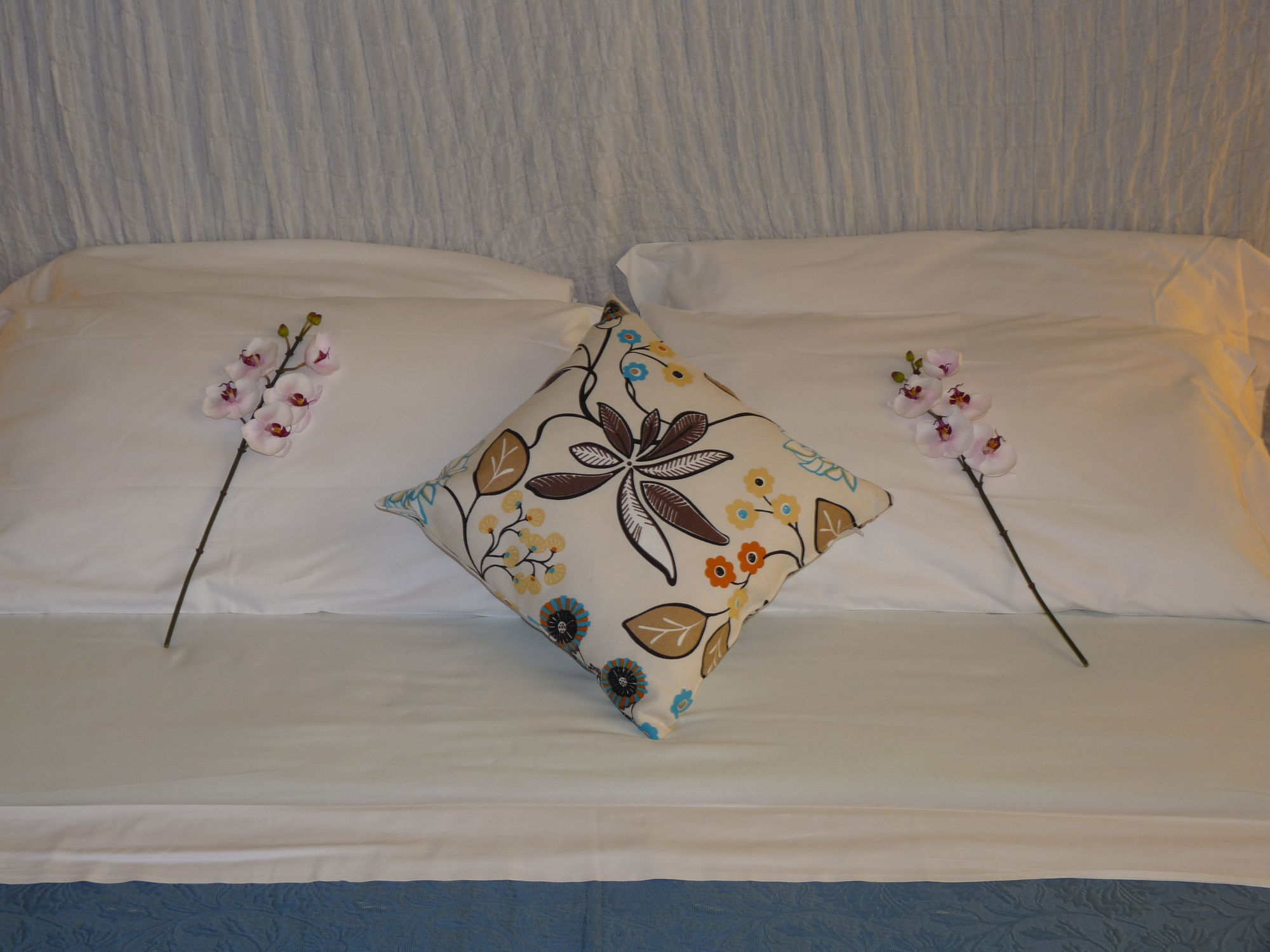 Фото Daplace - Arena House