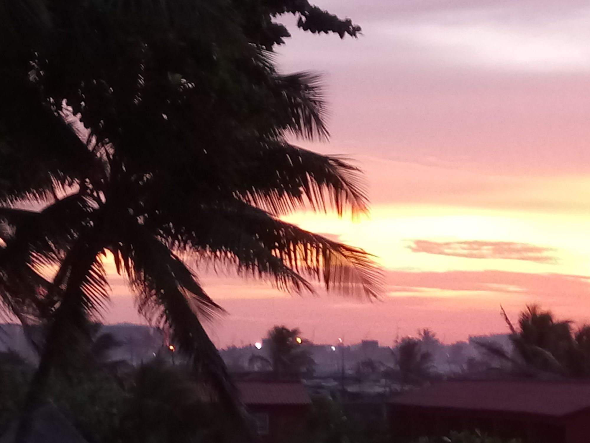 Фото New Robinson Plage