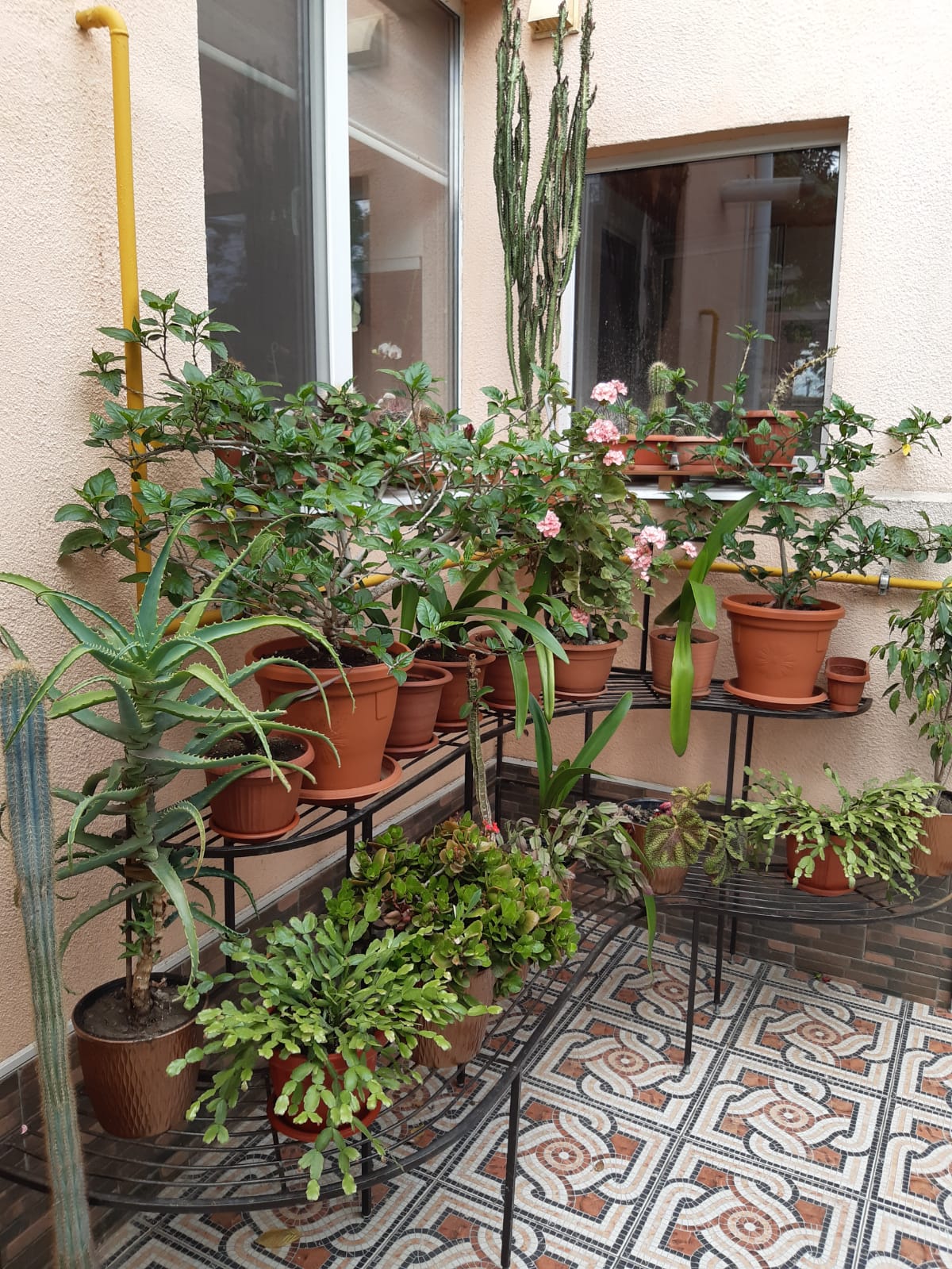 Фото Тайм Аут