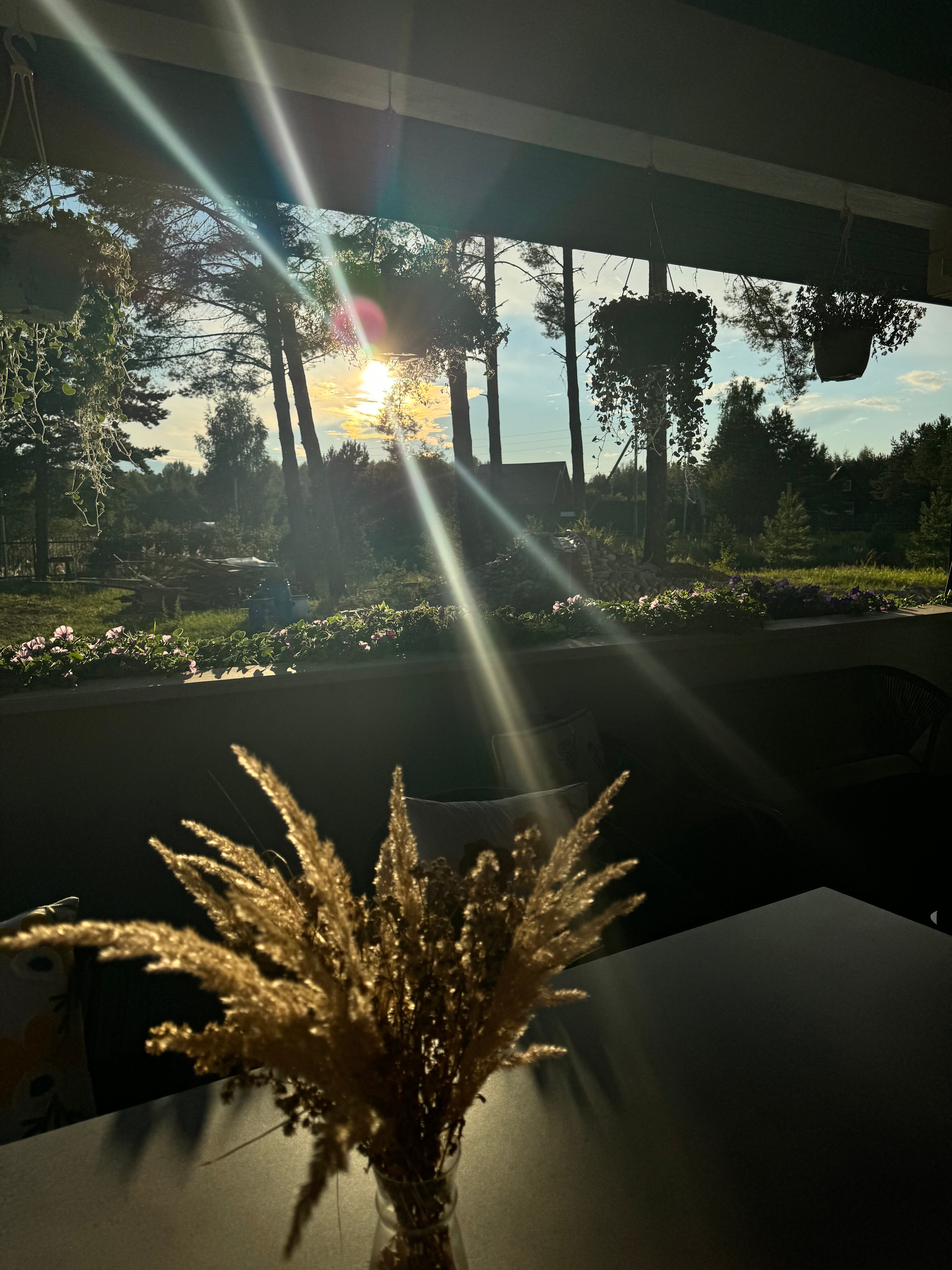 Фото Волго. Дача