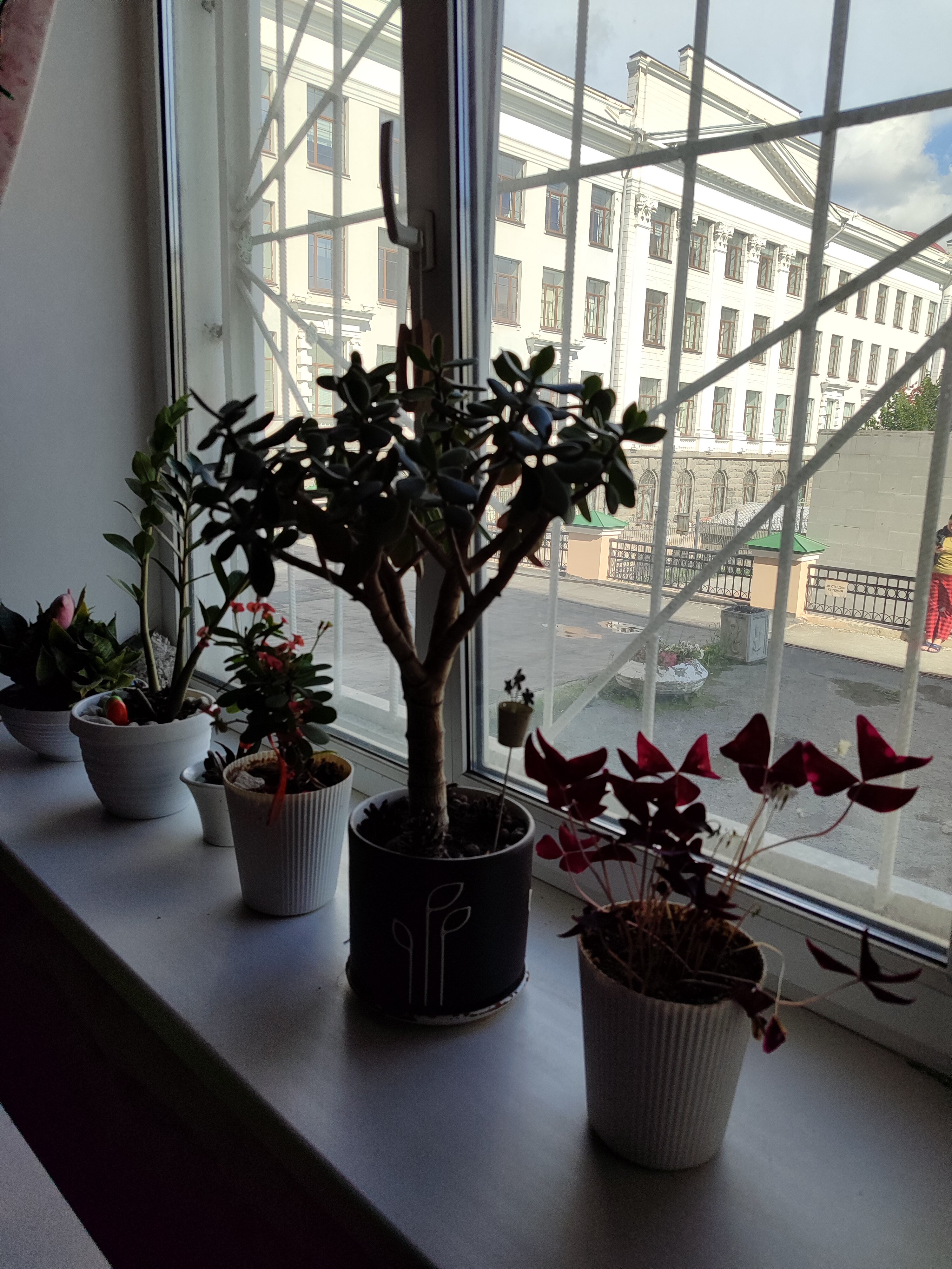 Фото Story Hostel