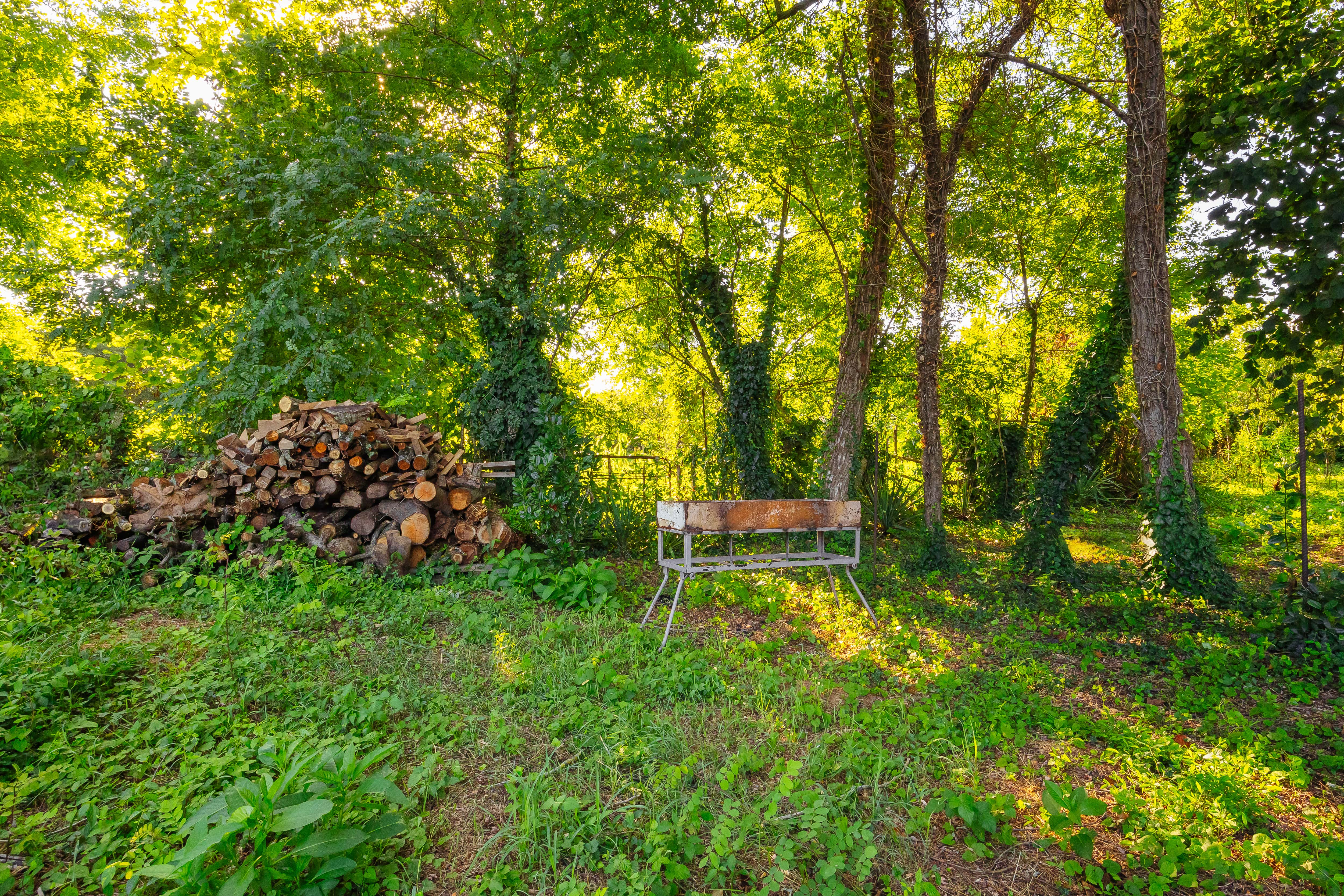 Фото Эко-коттеджи DiAlex