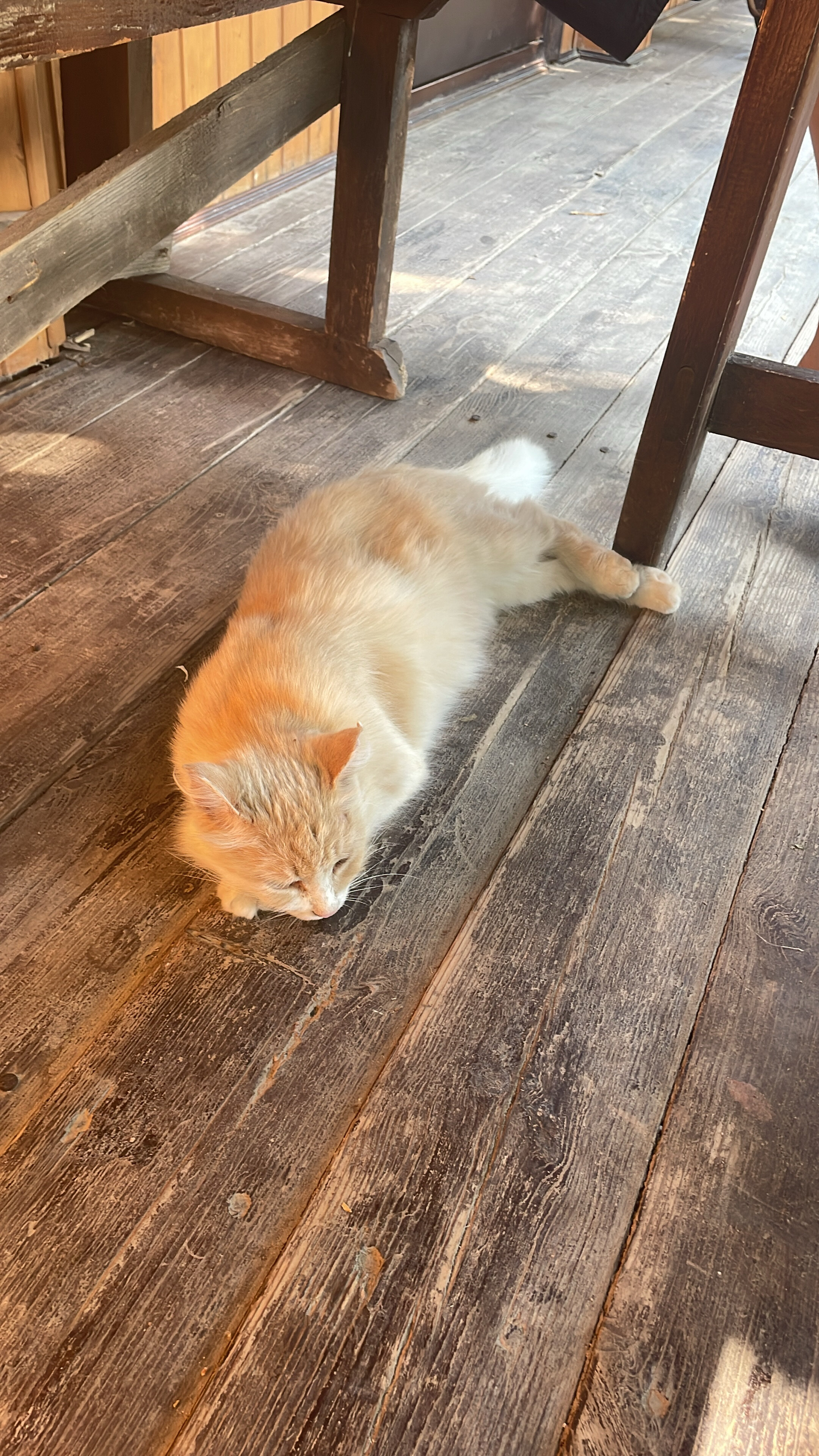 Фото Усадьба Никольское