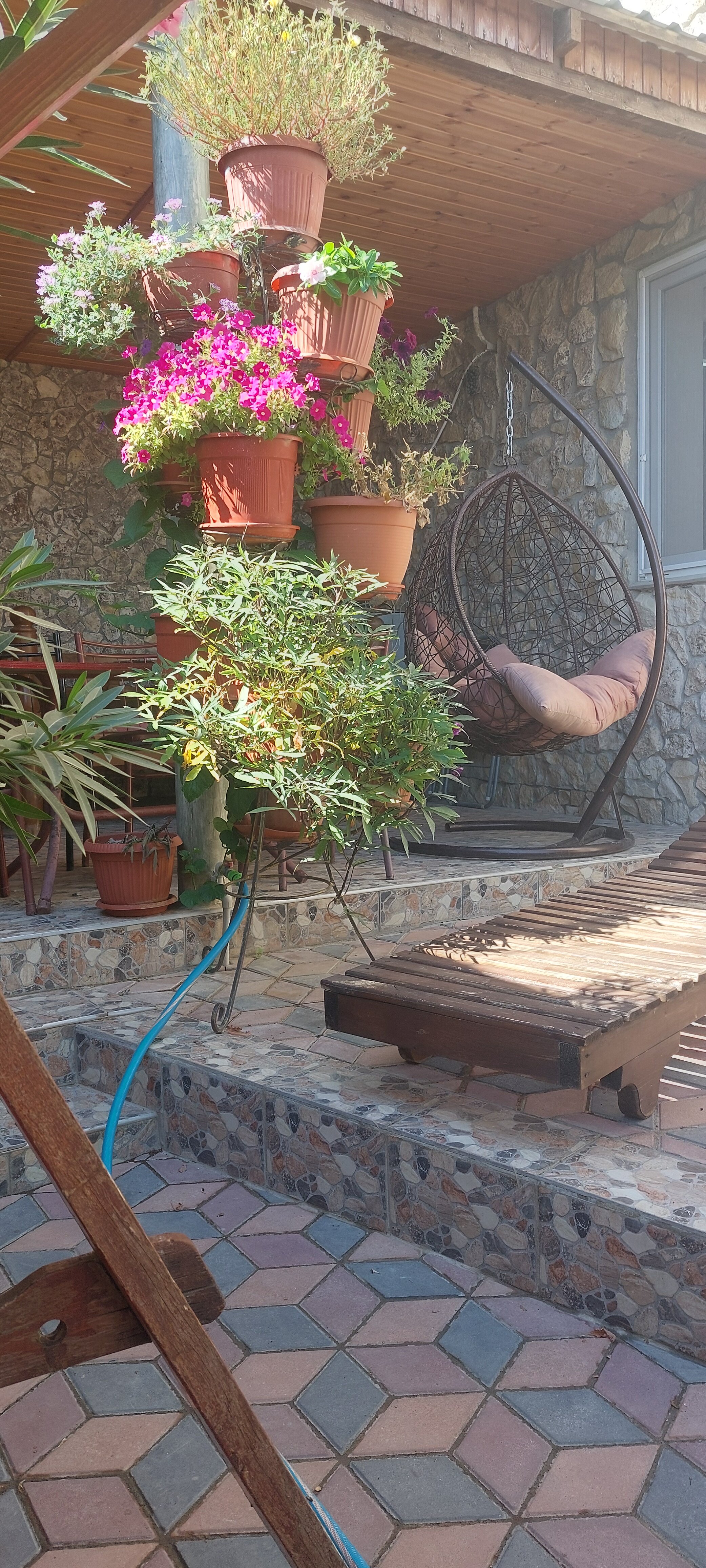 Фото Сапсан