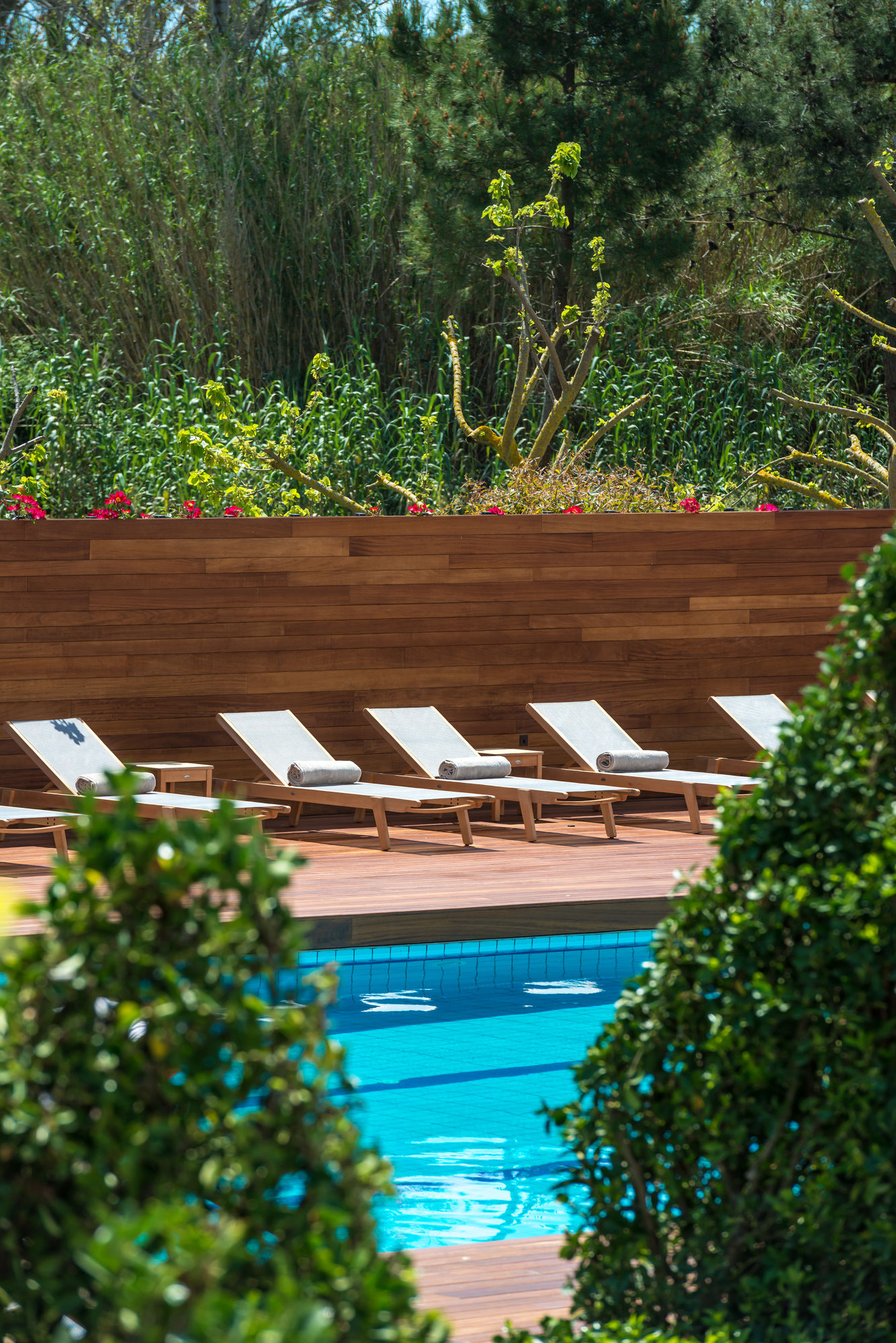 Фото Bitzaro Palace Hotel - All inclusive