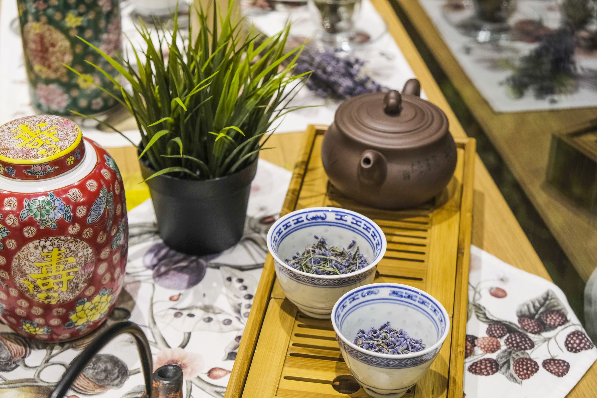 Фото Lotus Center Apartments