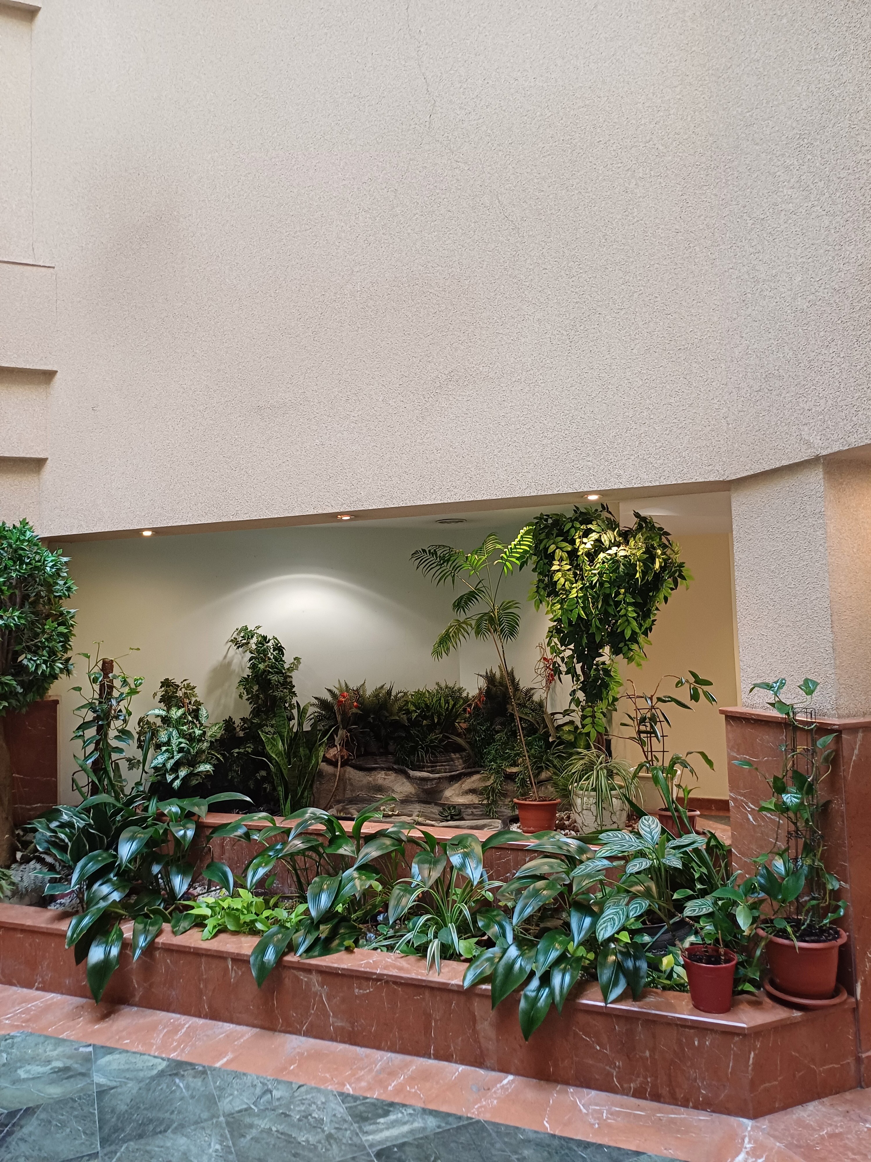 Фото Протон