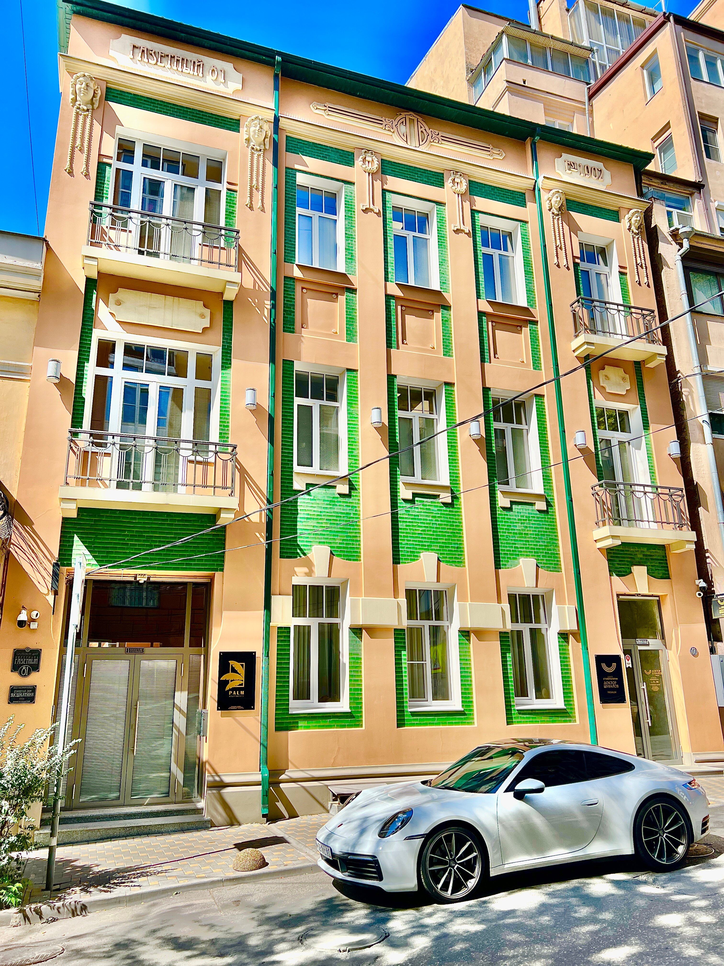 Фото Пальма