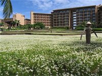 Фото Yalong Bay Mangrove Tree Resort
