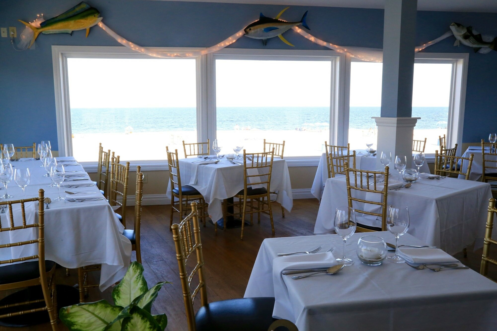 Фото The White Sands Oceanfront Resort & SPA