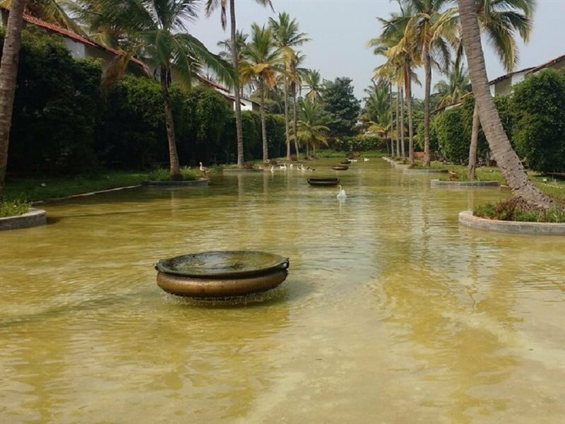 Фото The Windflower Resorts and SPA