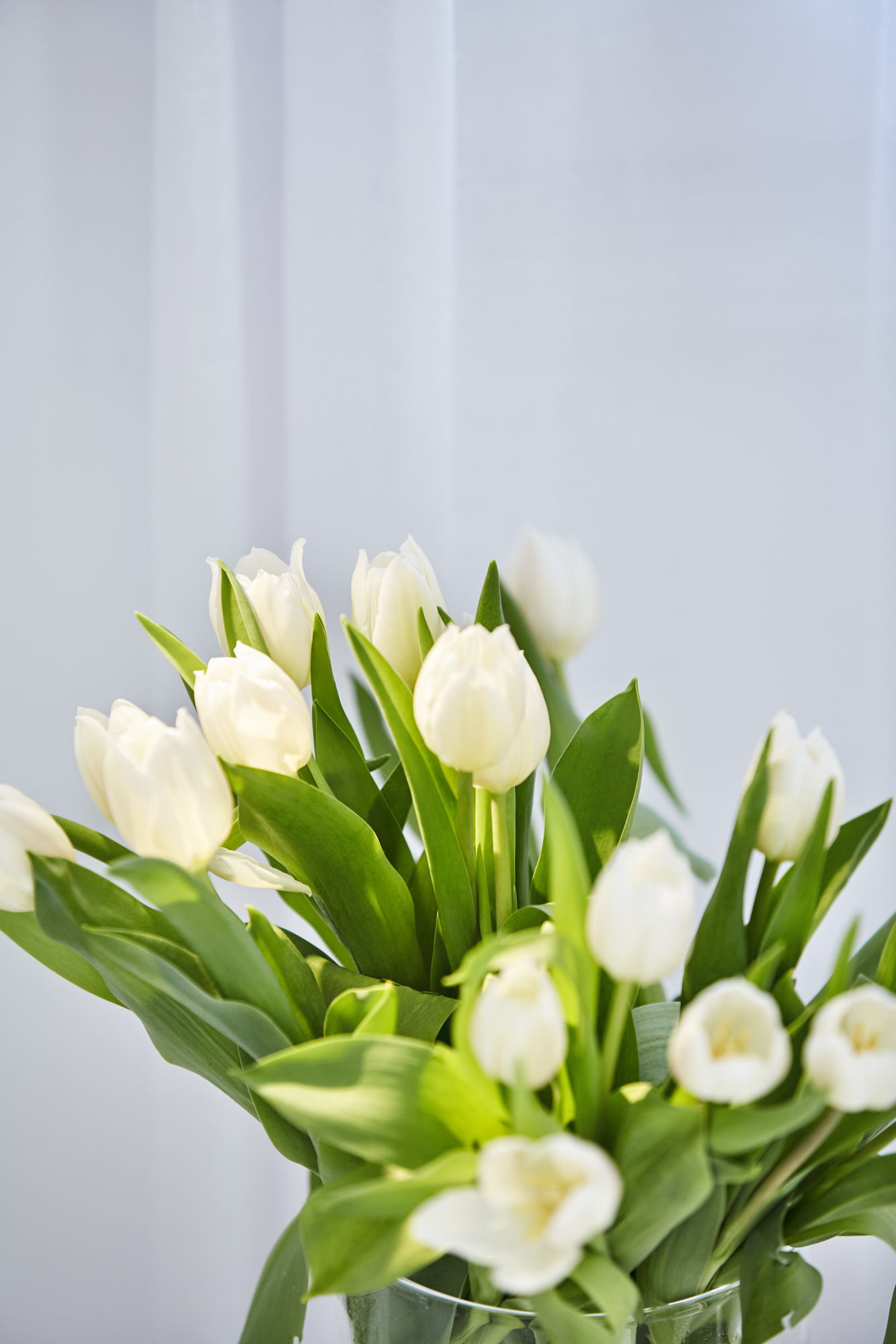 Фото Hippie Chic Hotel