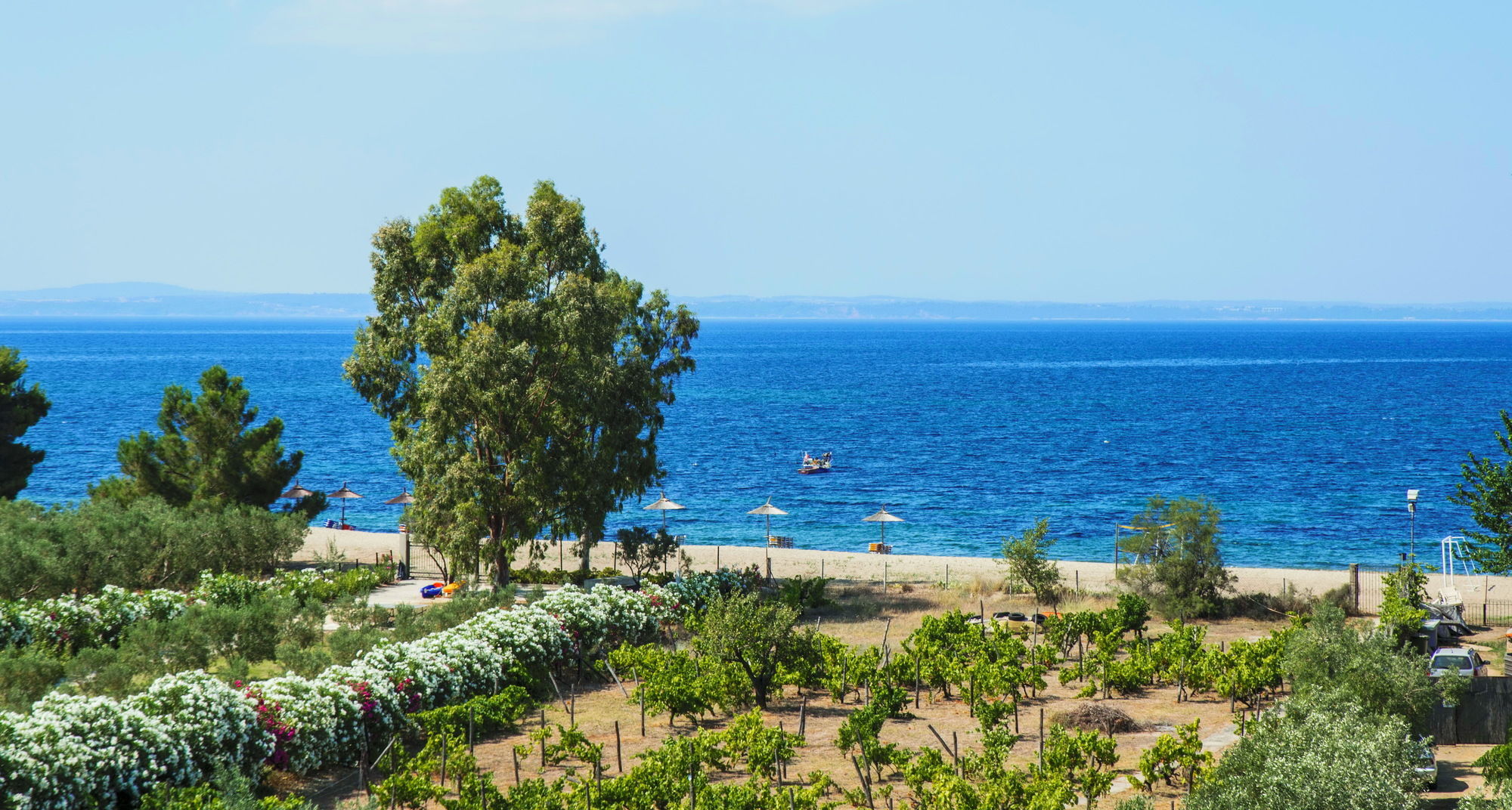 Фото Coral Blue Beach Hotel