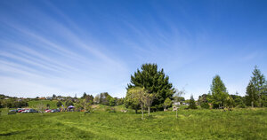 Дом отдыха Rotorua Thermal Holiday Park