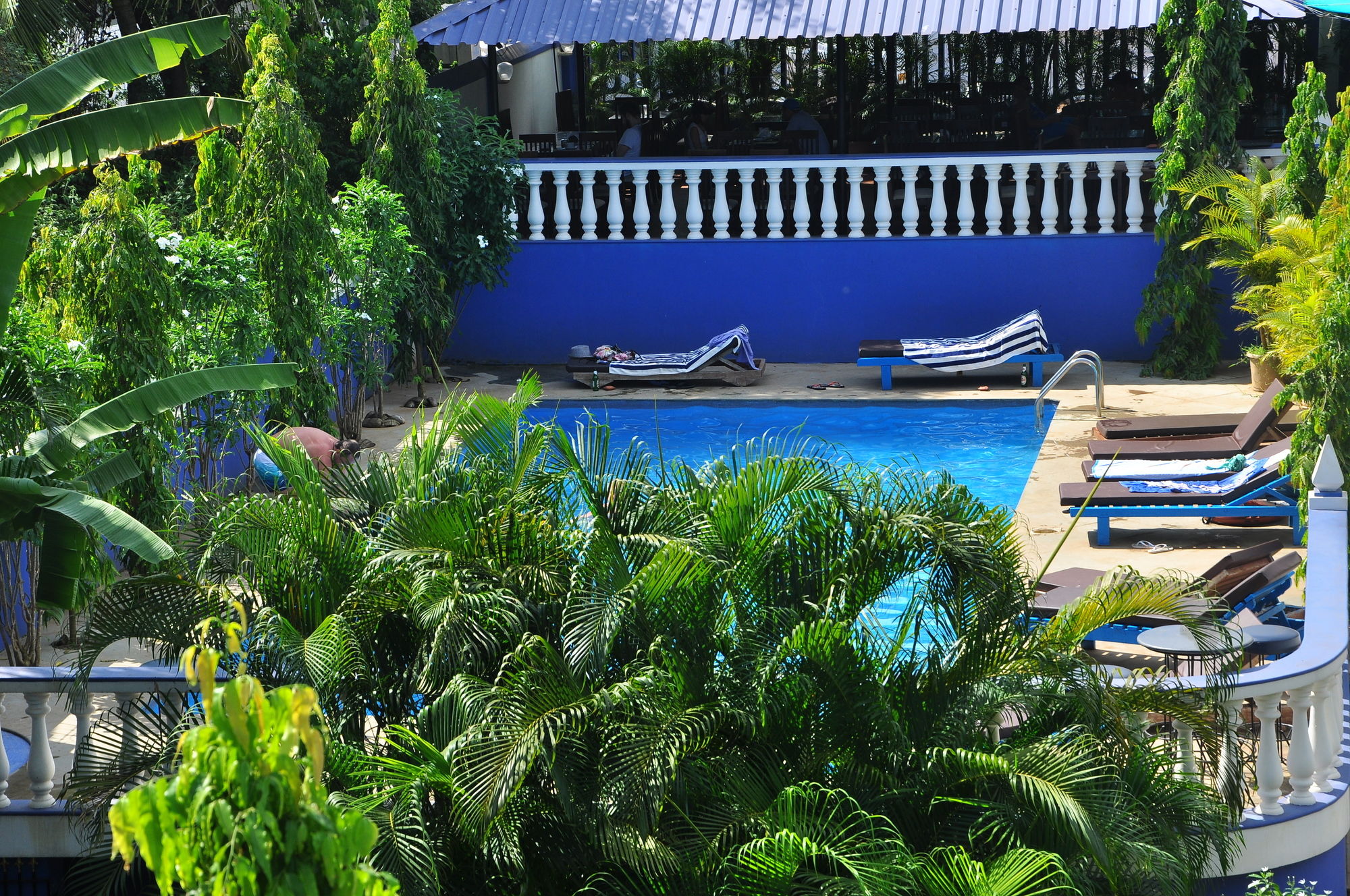 Фото Mayflower Beach Resort