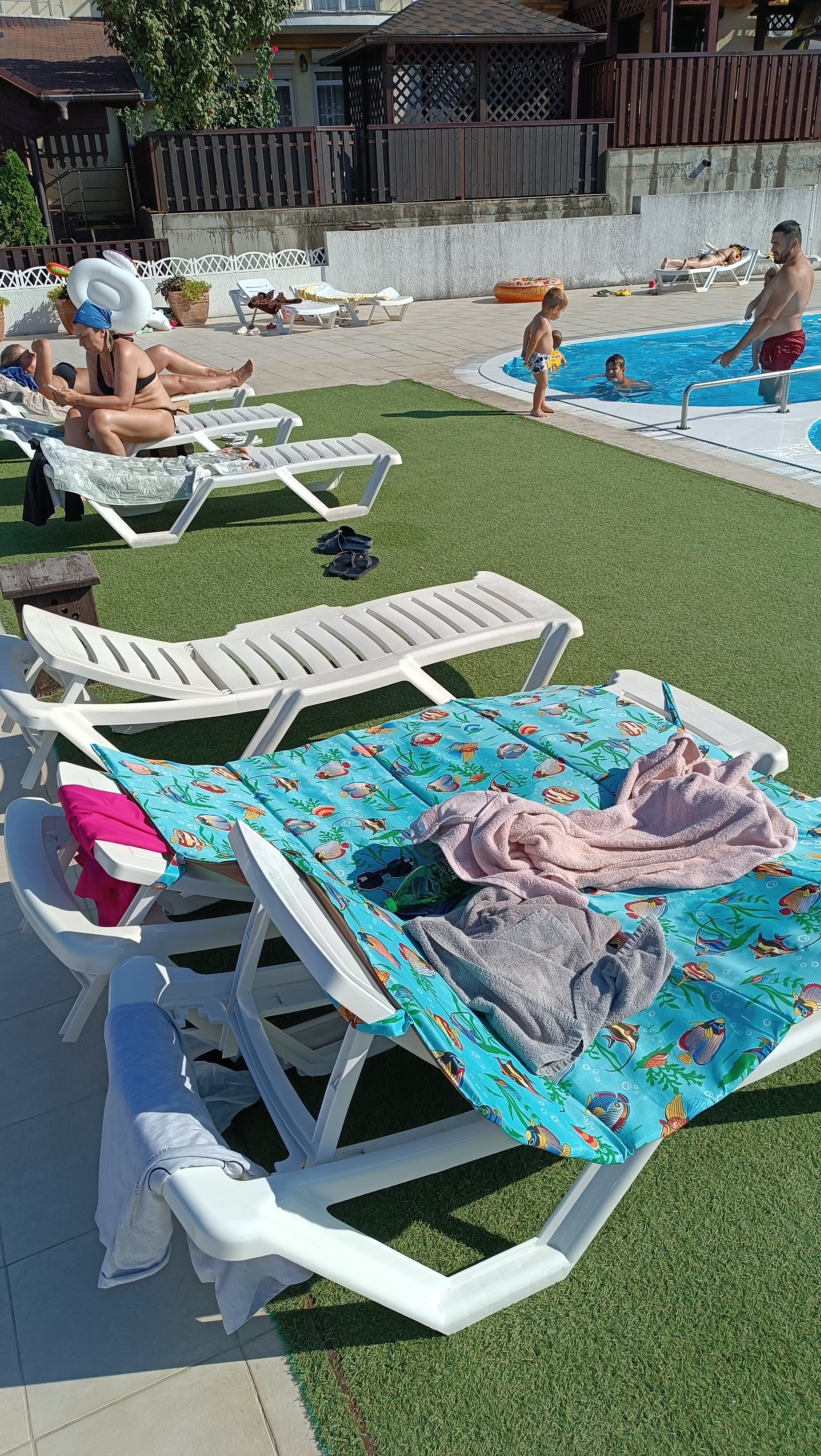 Фото Кедровая роща