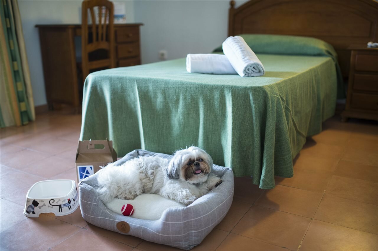 Фото Hotel Galfi