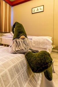 Гостиница Santa