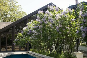 Гостиница Bellaria Hotel