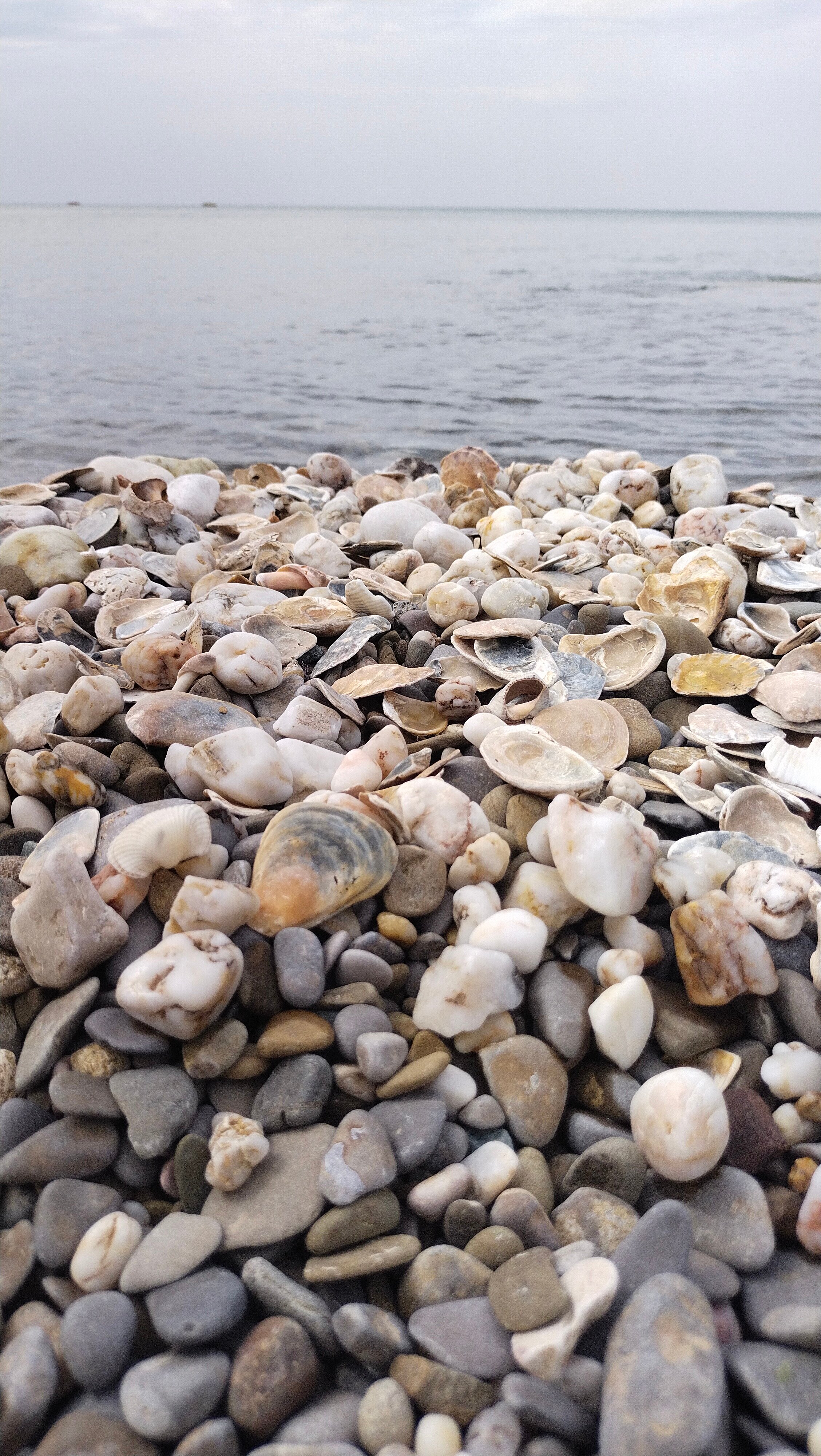 Фото Я ты и море