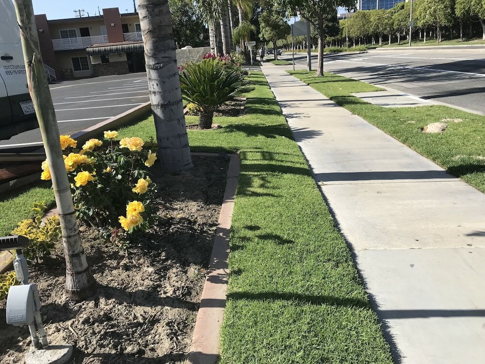 Фото Abby's Anaheimer Inn