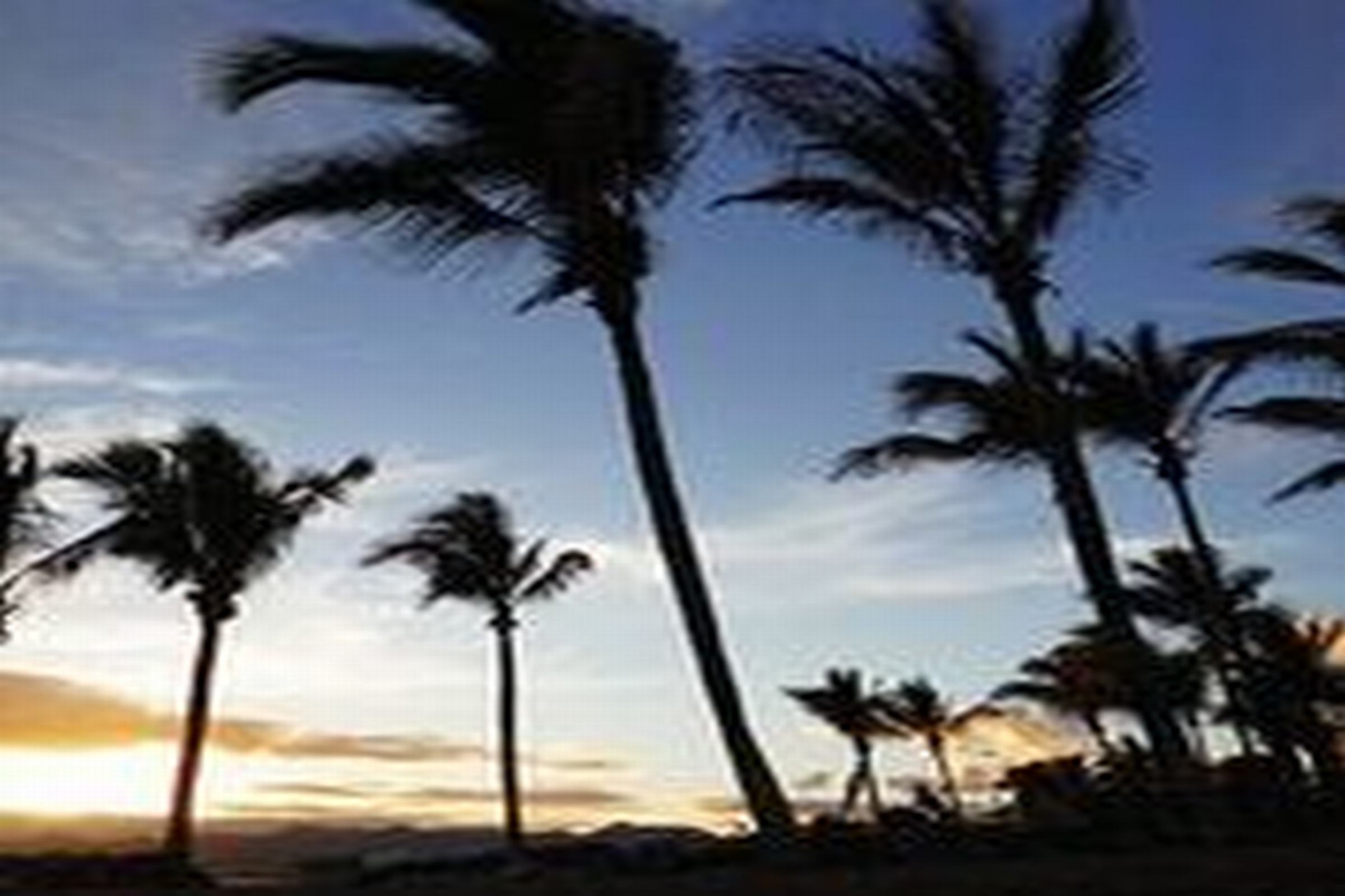 Фото Apartamentos Plaza Azul