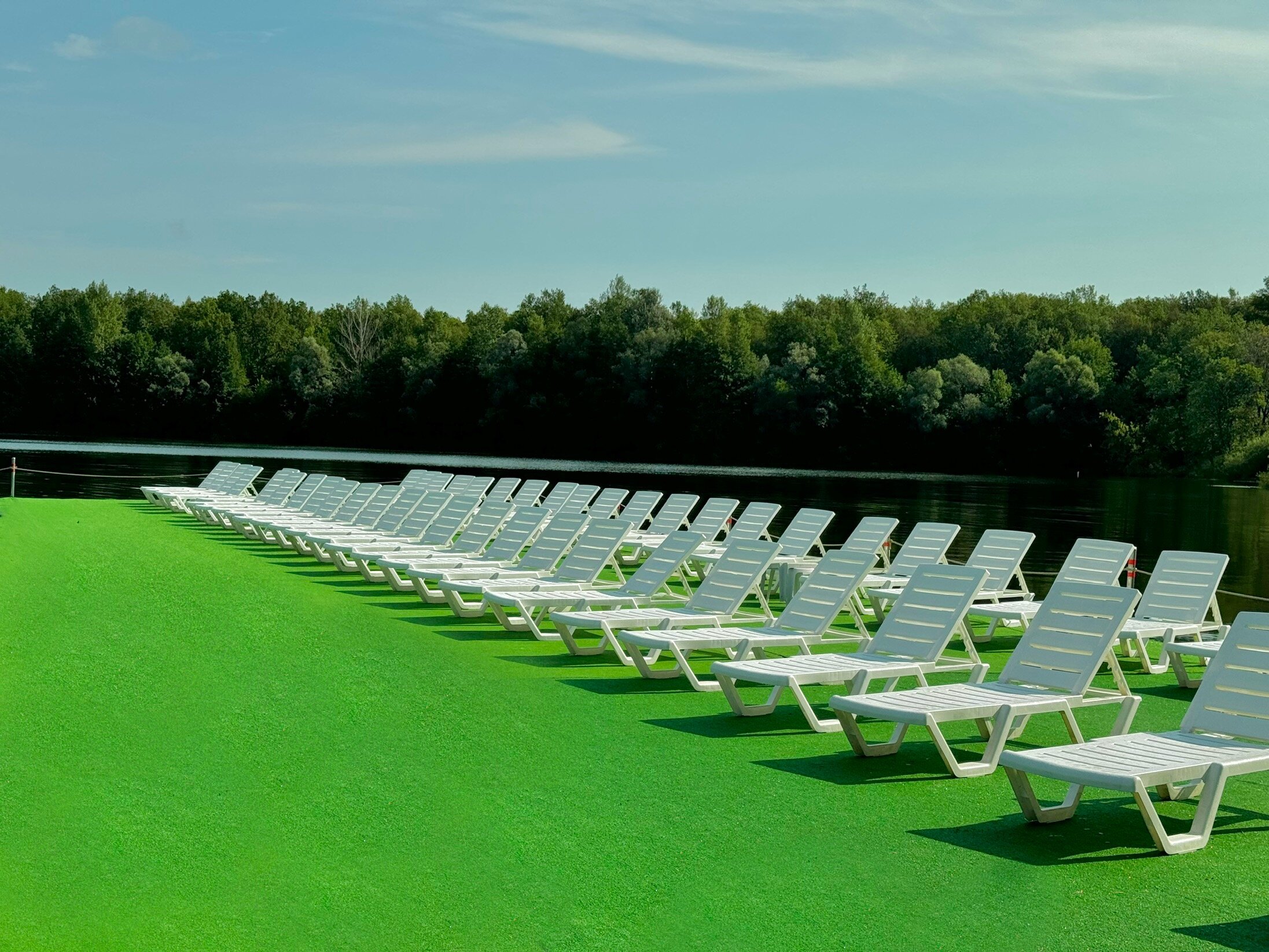 Фото Красивая поляна