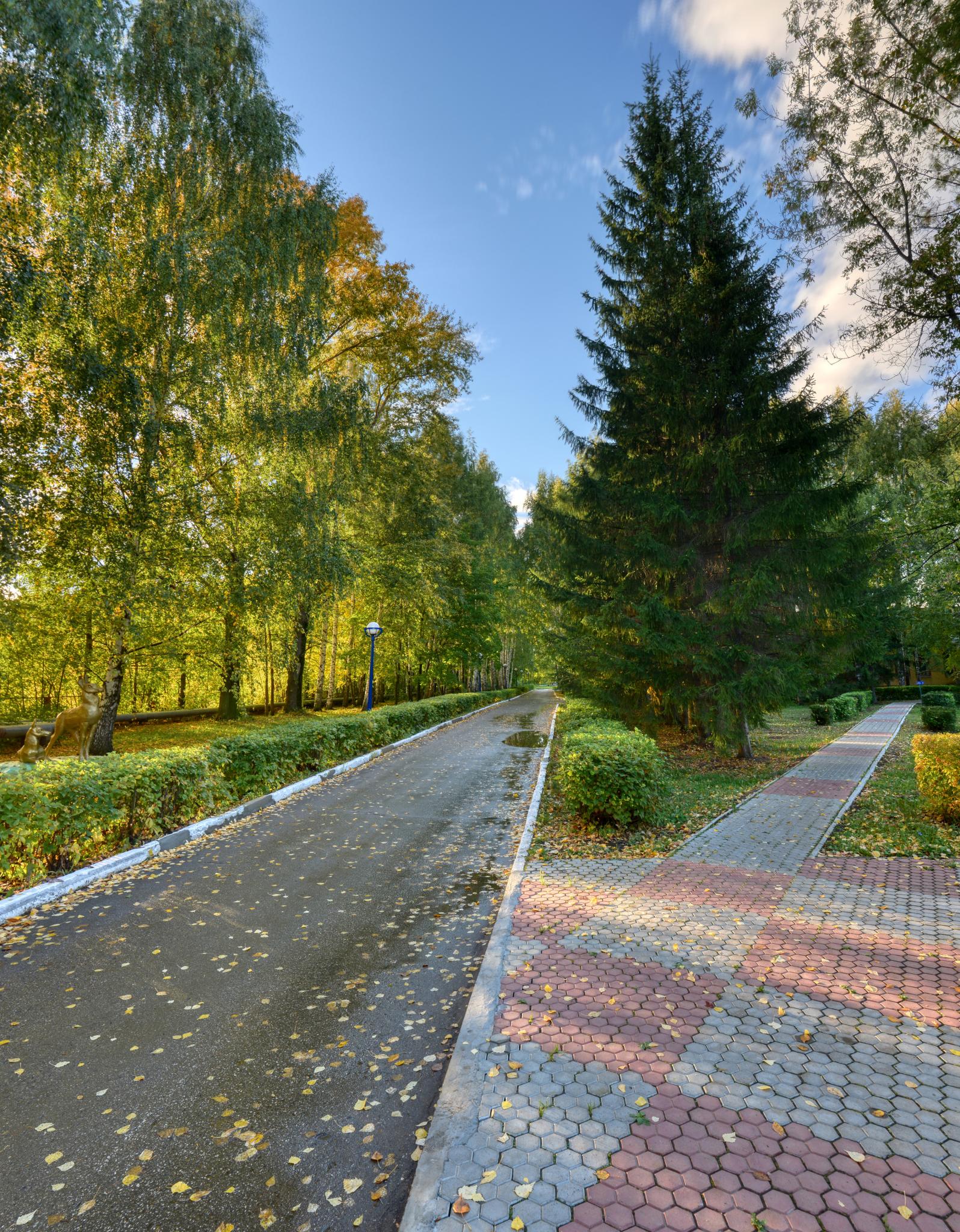 Фото Жемчужина