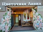 Pink Snot (derevnya Sapronovo, Kupelinka Subdistrict, kvartal Severny, 17) ، محل زهور