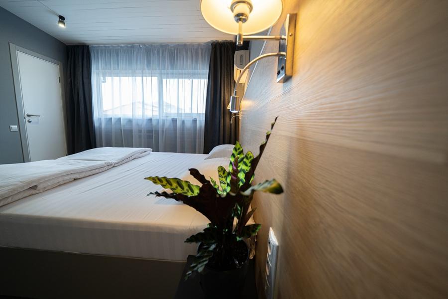 Фото ПрофОтель