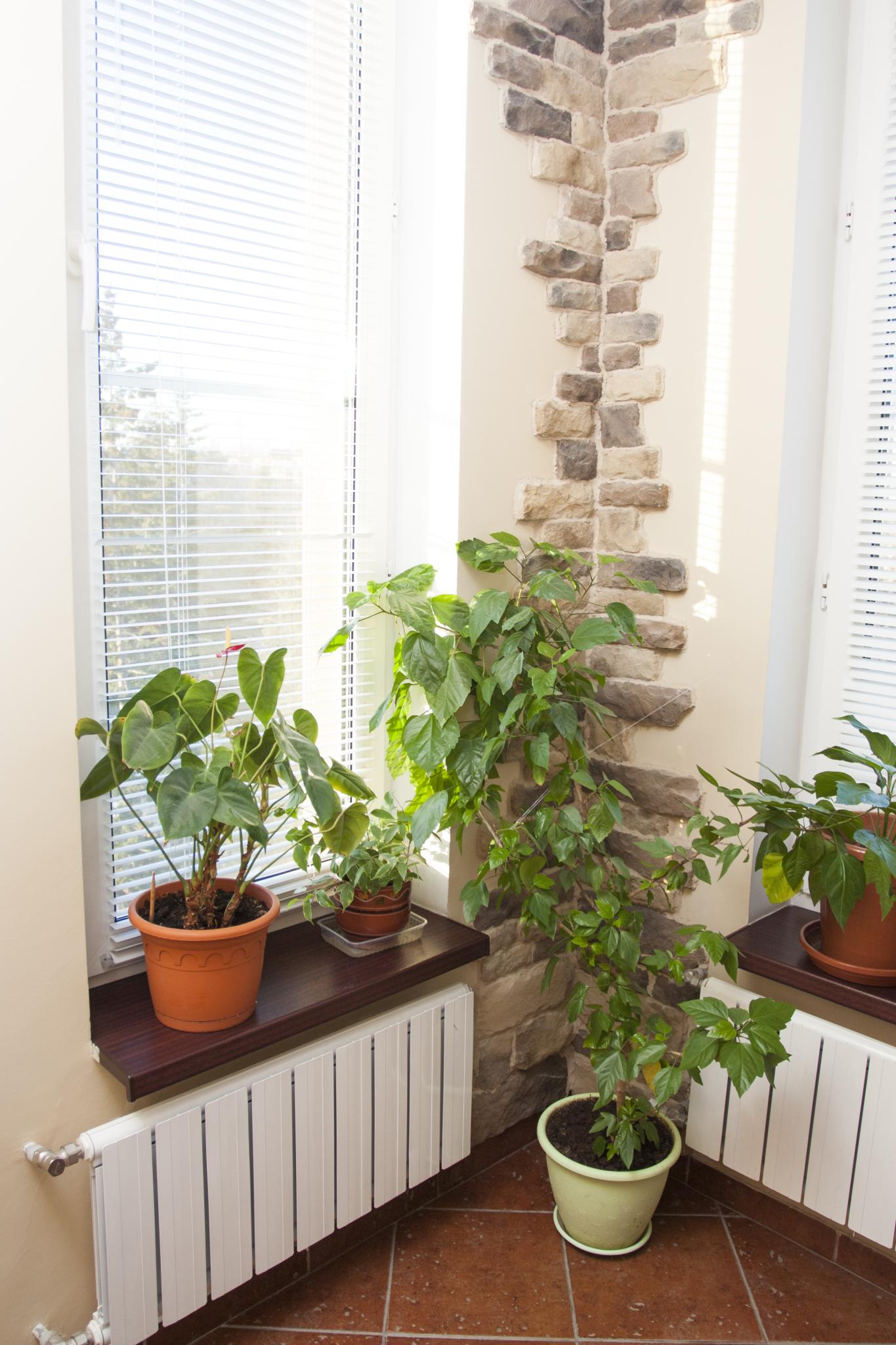 Фото Шерр отель