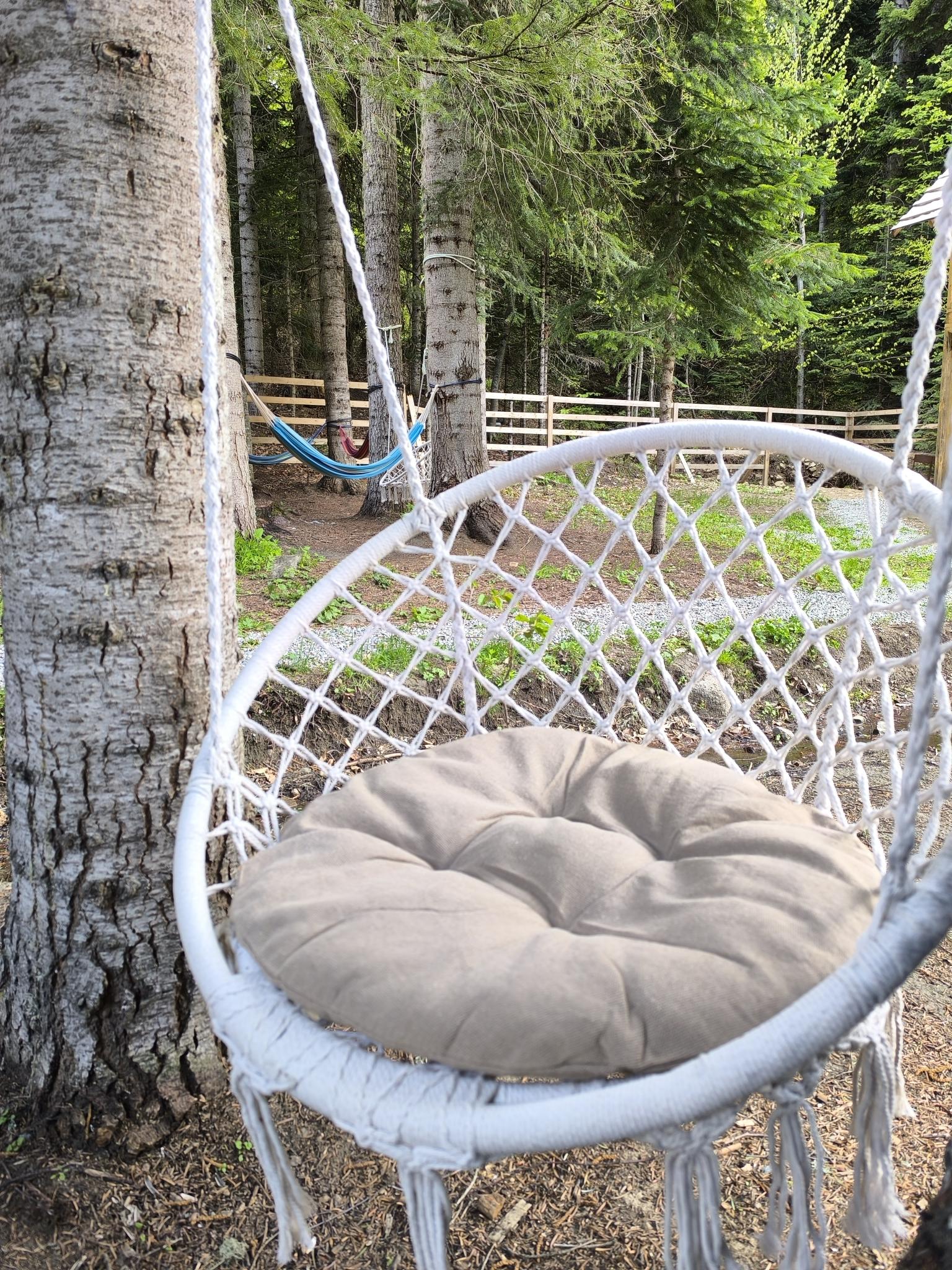 Фото Greenhouse 1599