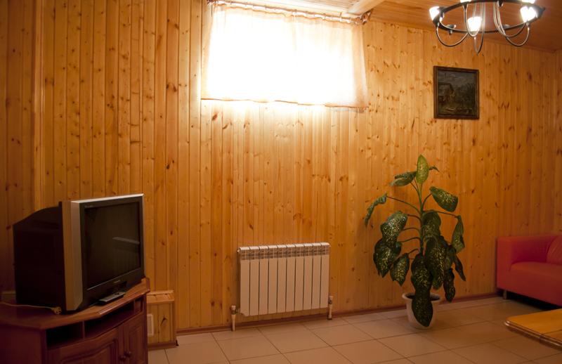 Фото Спутник