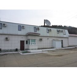 Фото Платина