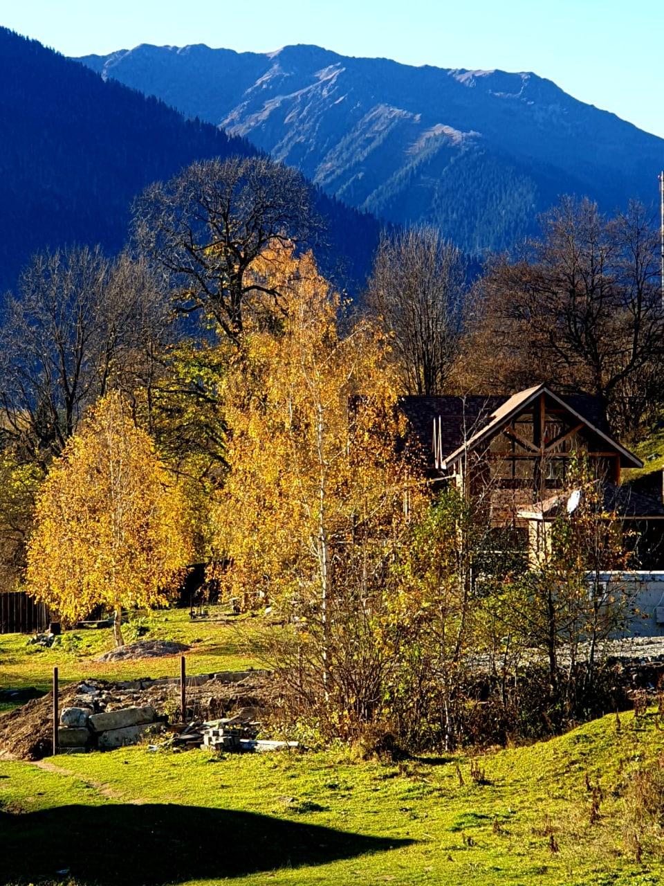 Фото ПихтаHouse