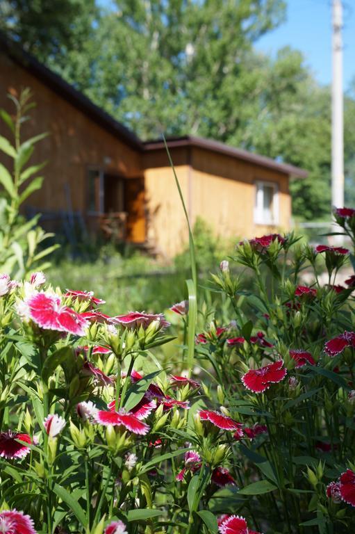 Фото Займище