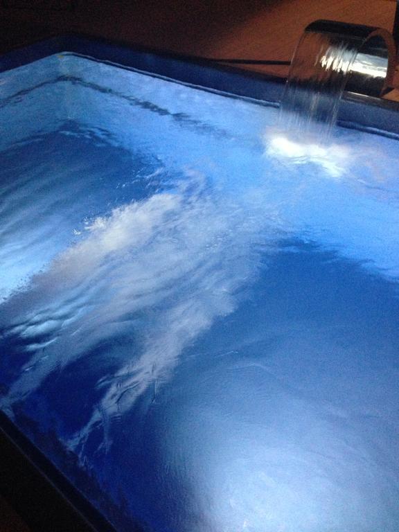 Фото Алая Роза