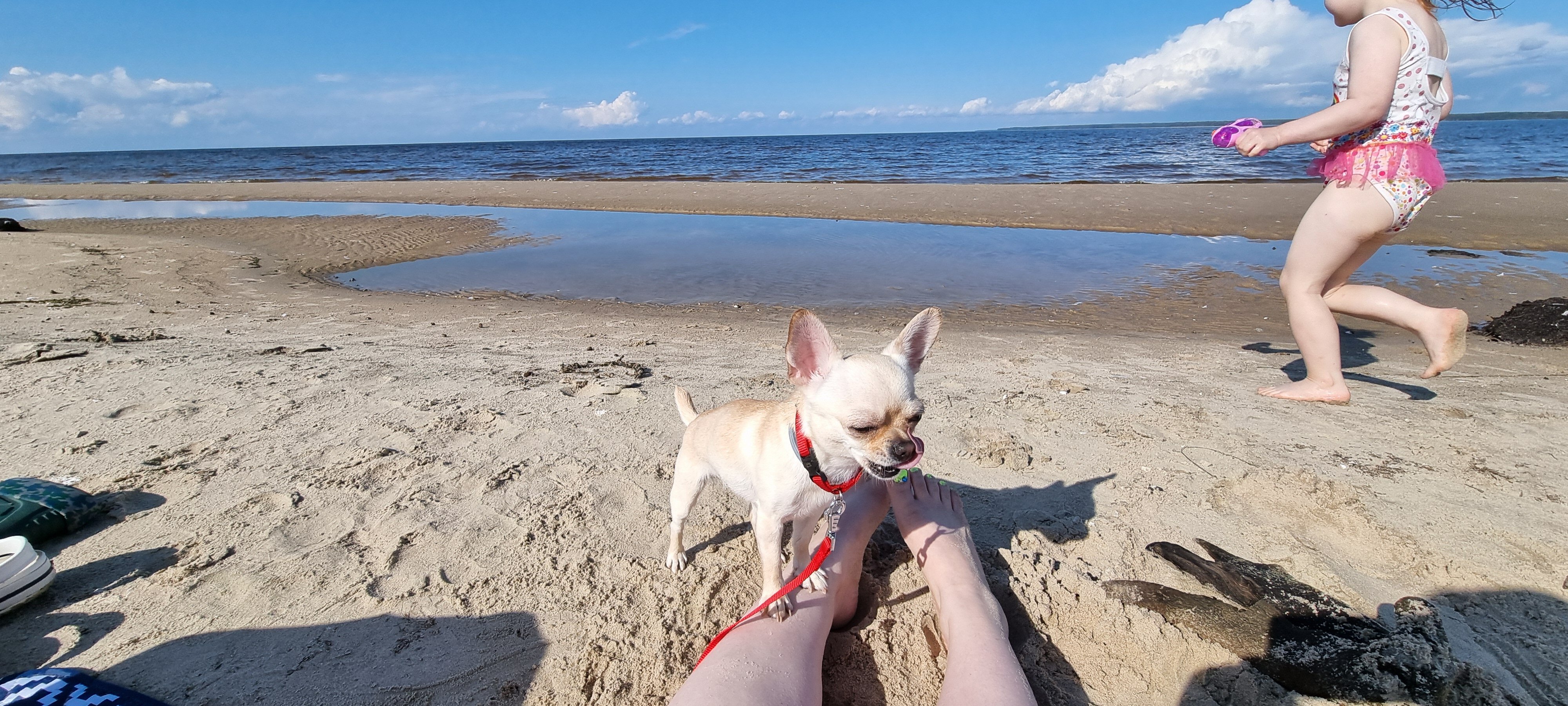 Фото Домик в лесу.76