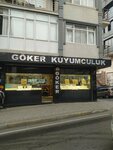 Goker Jewelry (İstanbul, Beylikdüzü, İnönü Cad., 4A), jewelry store