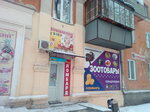 Zootovary (Pekinskaya ulitsa, 17) ، متجر للحيوانات الأليفة