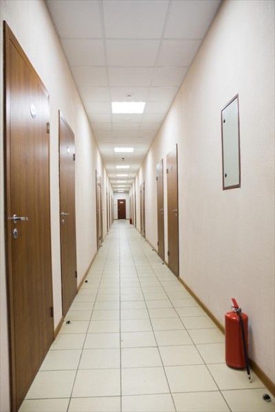 Фото Клевер