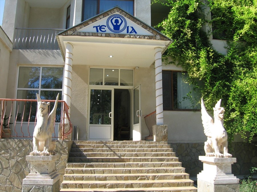 Фото Мечта Тея