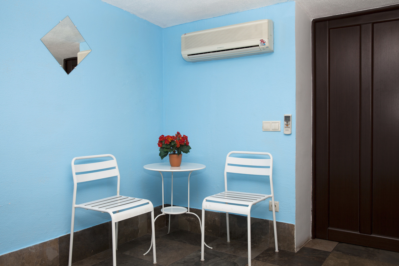 Фото Полянка на Чистых прудах