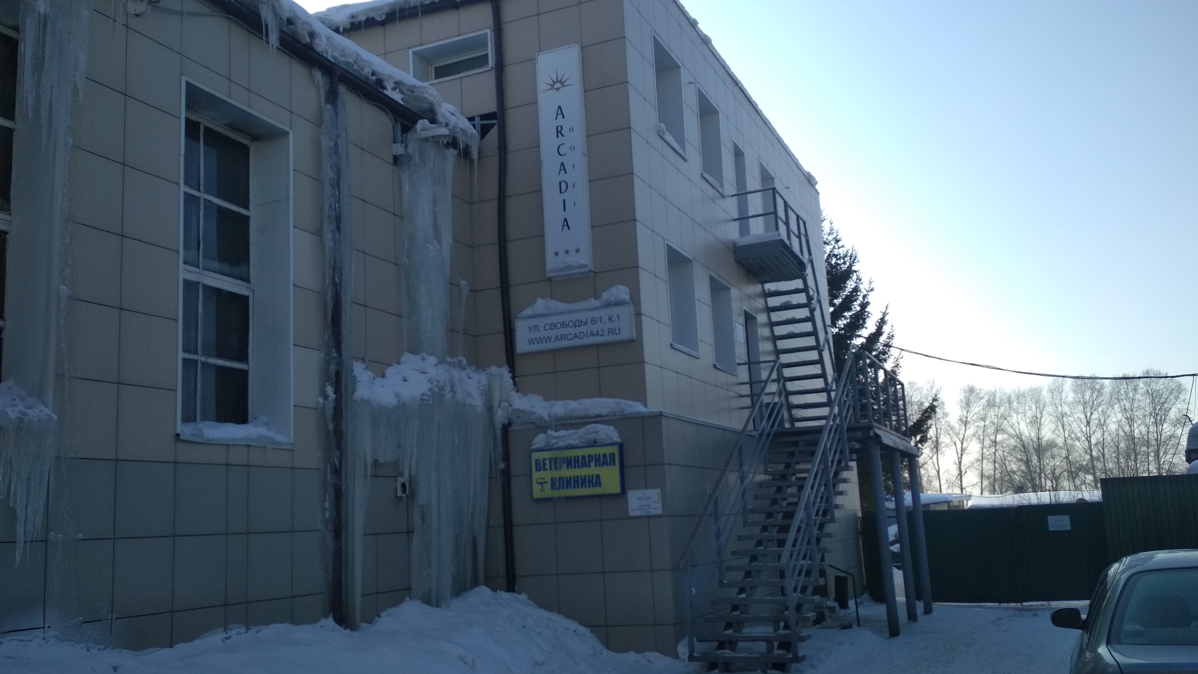 Фото Аркадия