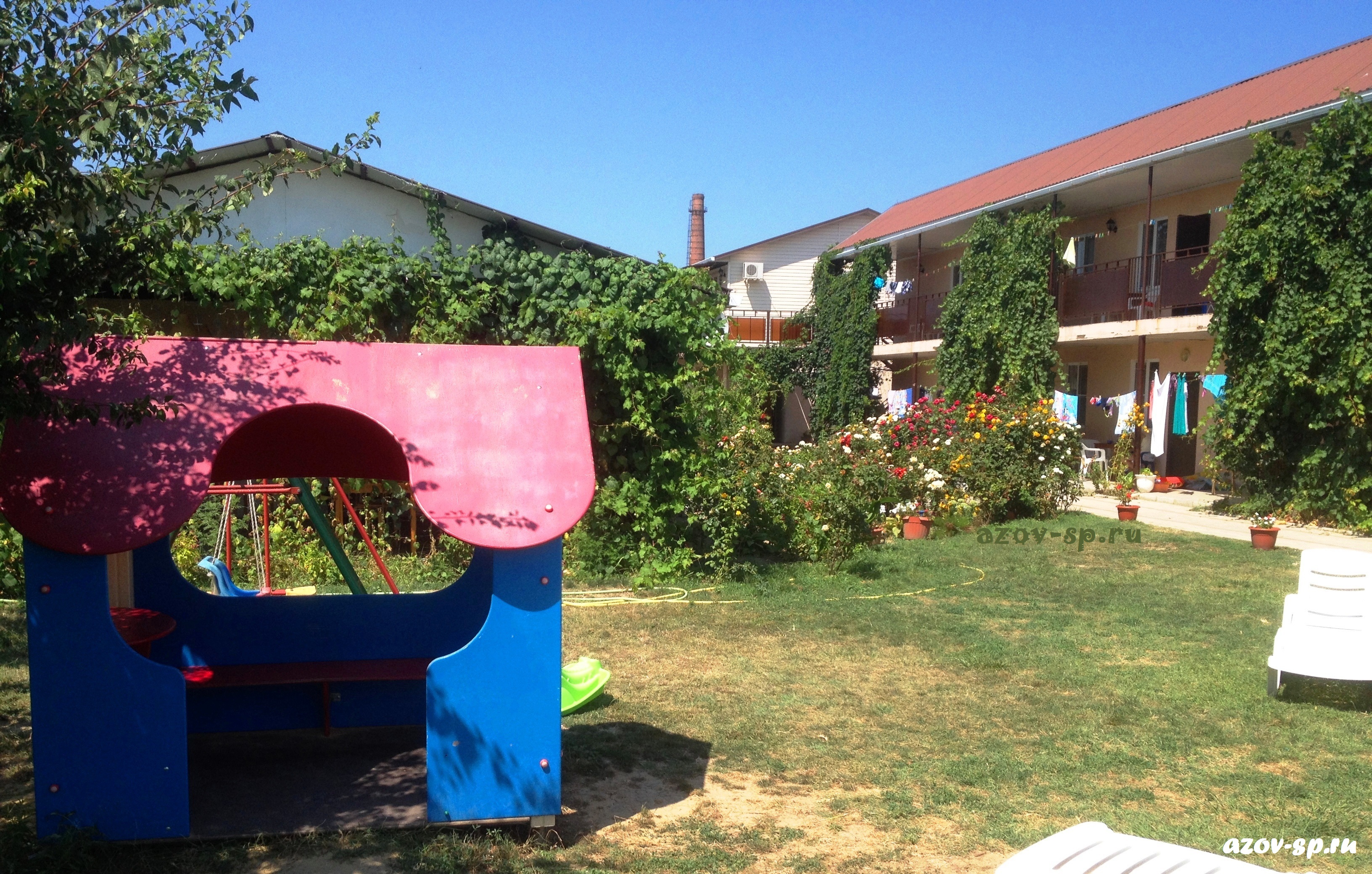 Фото Солнечная поляна