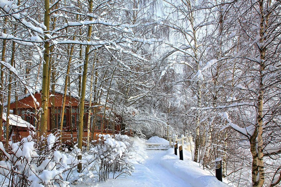 Фото Александръ Club