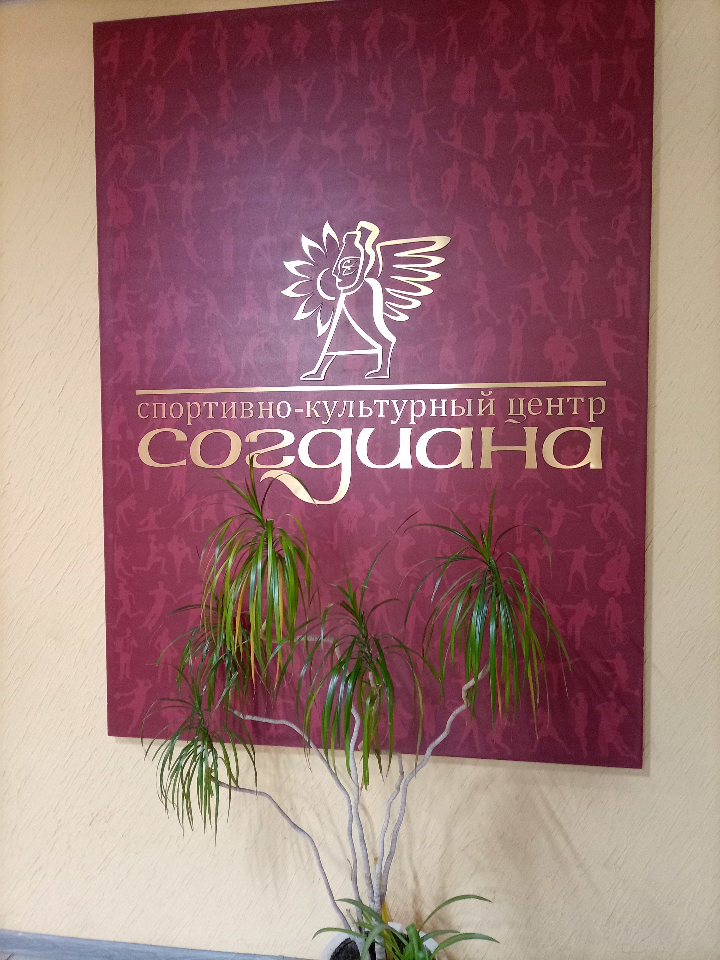 Фото Согдиана