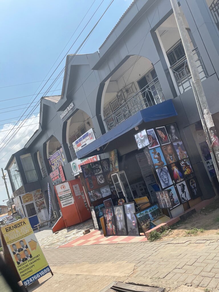 Logistics company Vida Multi Servcie, Earth, photo